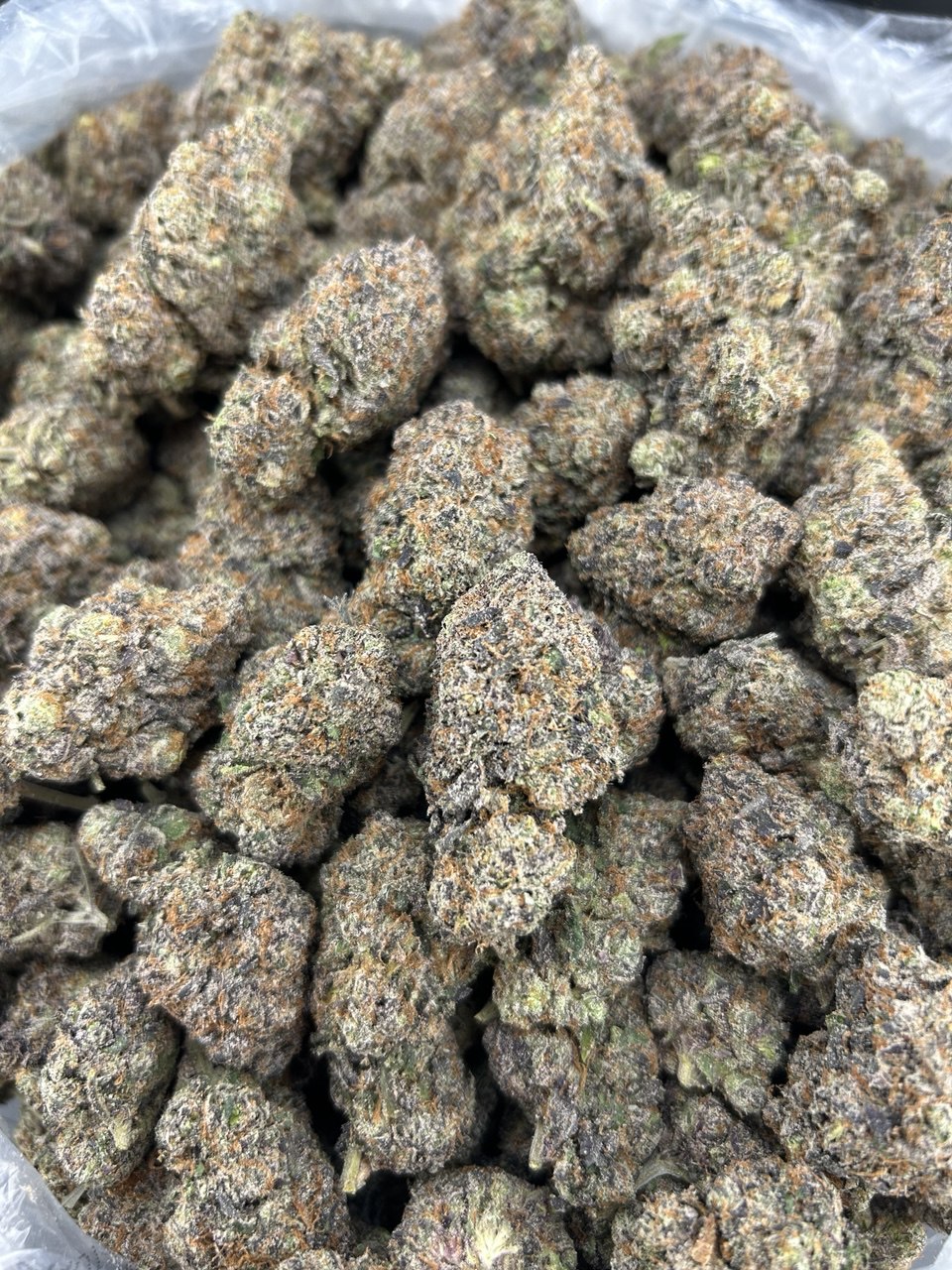 Bacio Pop Slurpee FD#2473