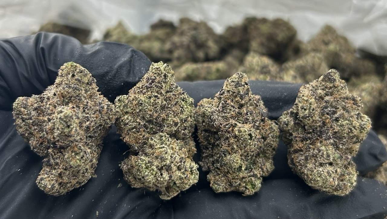 Peach Pie (TERPED FLOWER) FD#2252